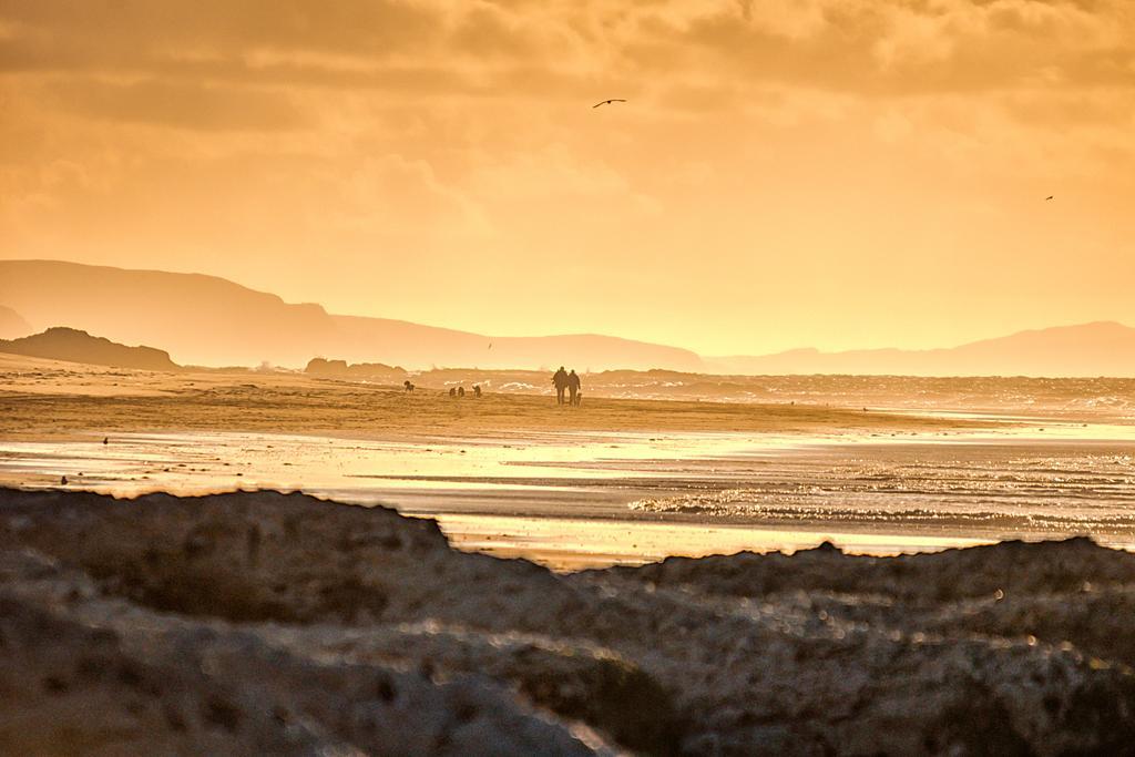 Harbour Heights B&B Portrush Buitenkant foto
